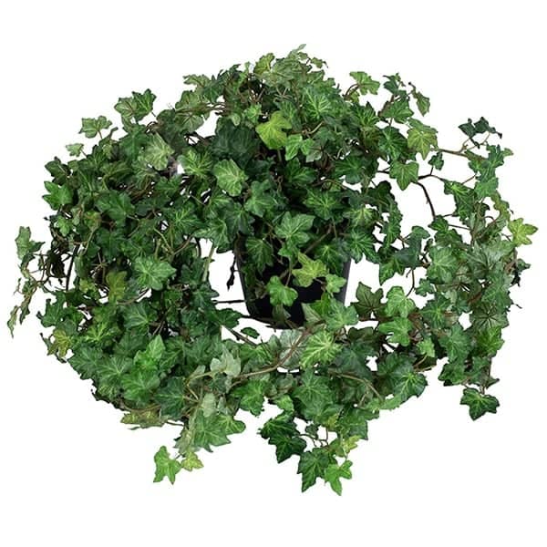 Kunstig plante